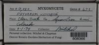 Image Associated With the Occurence